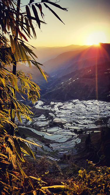 1、希望之光 大连外国语大学 张雨_副本.jpg